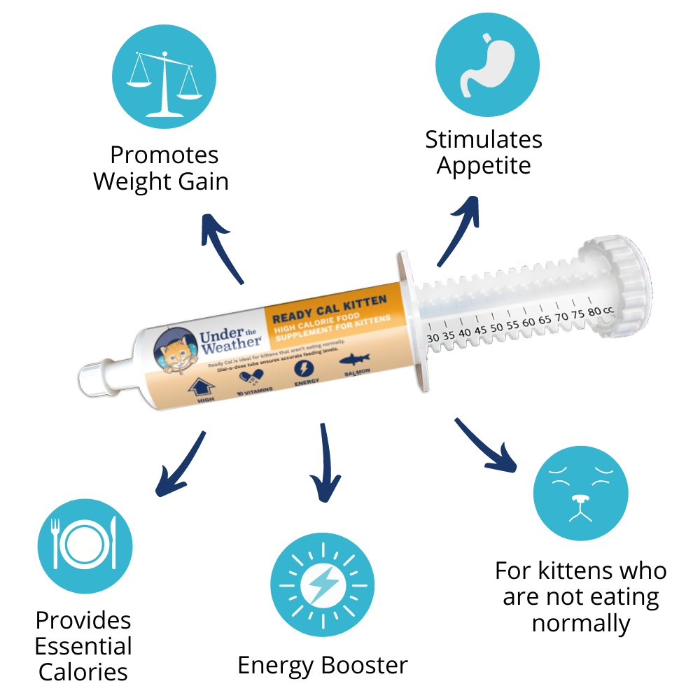 Ready Cal High-Calorie Supplement For Kittens - 80cc