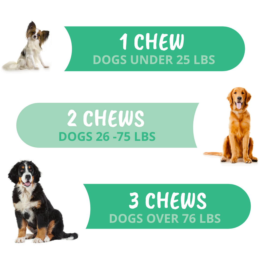 Allergy and Itch Chews for Dogs