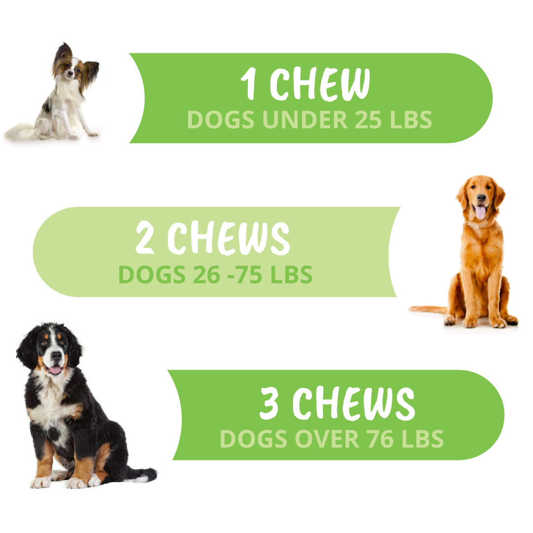 10-in-1 Multivitamin Chews for Dogs