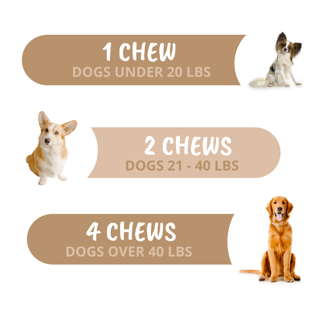 Go Time Laxative Chews For Dogs