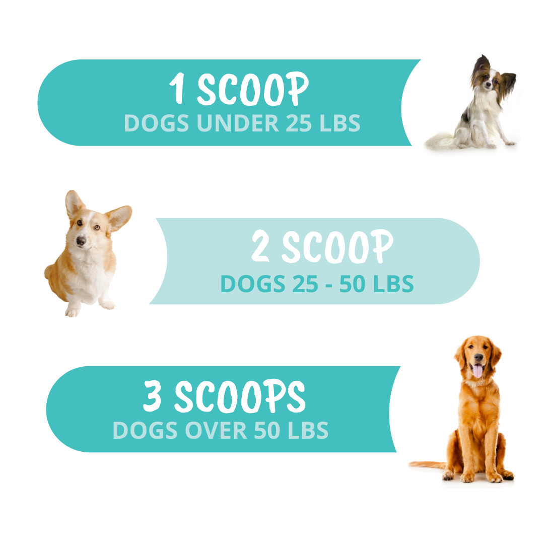 Probiotic Powder for Dogs