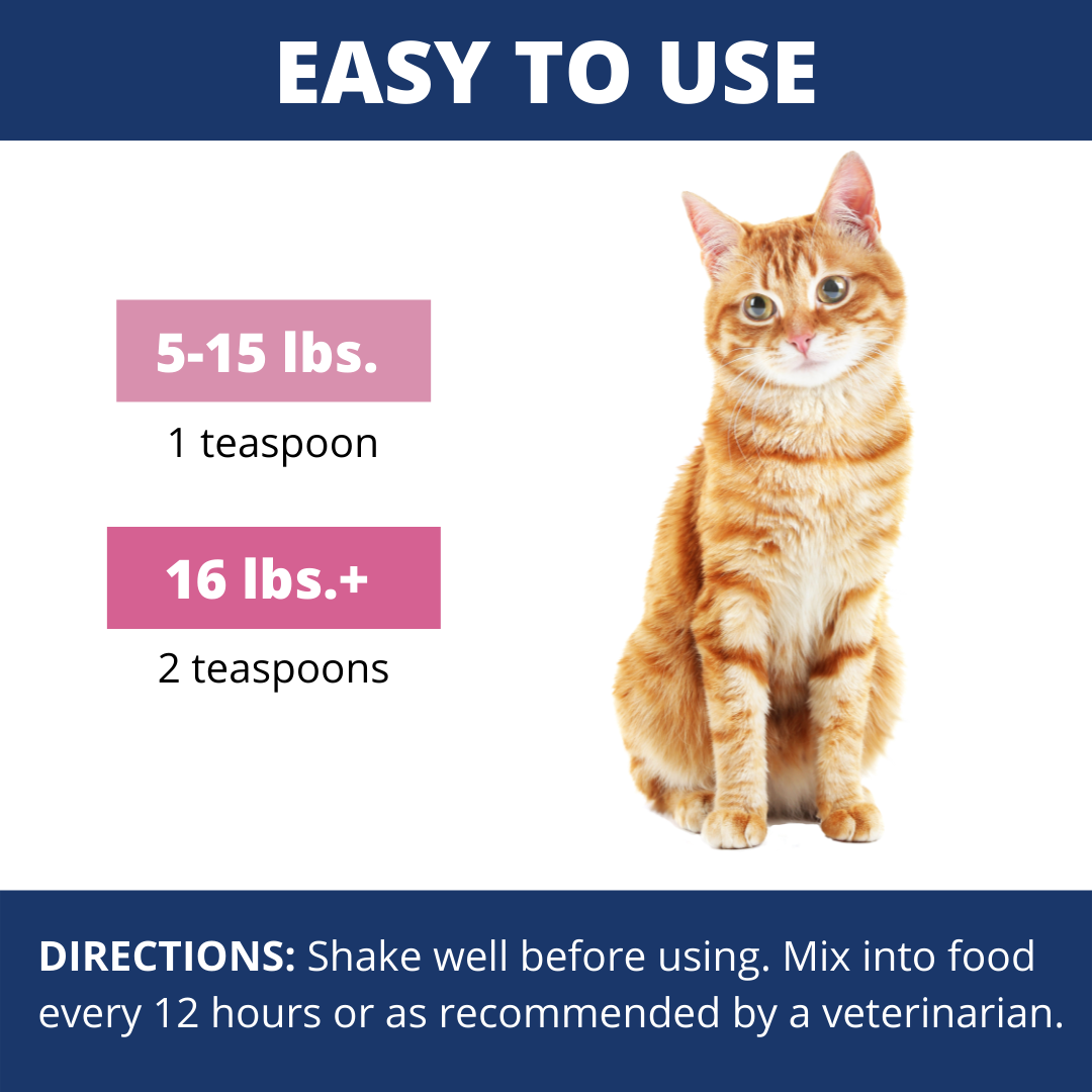 AntiDiarrhea Liquid For Cats Under the Weather