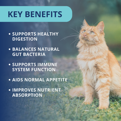 Probiotic Soft Chews For Cats