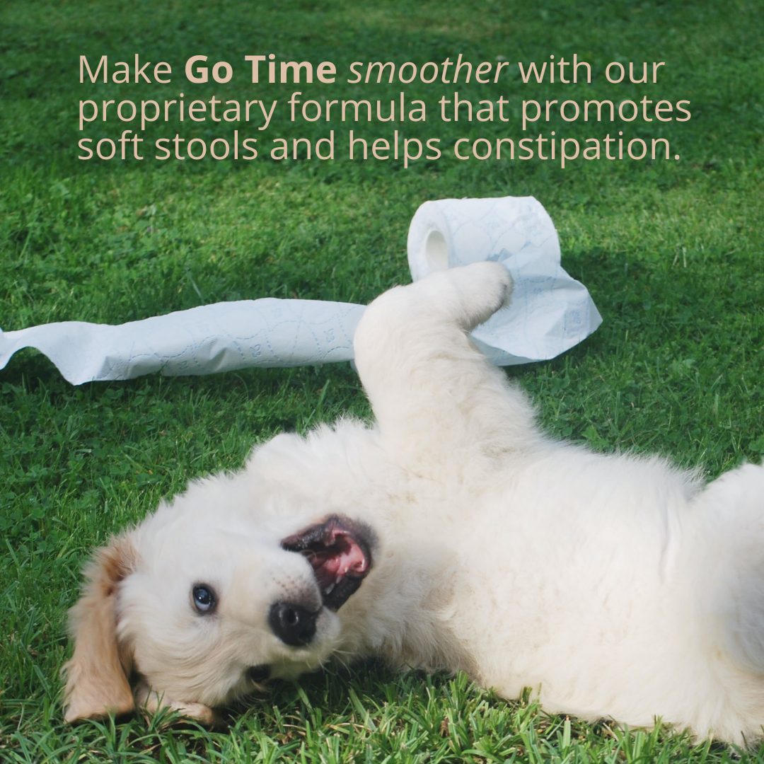 Go Time Laxative Chews For Dogs