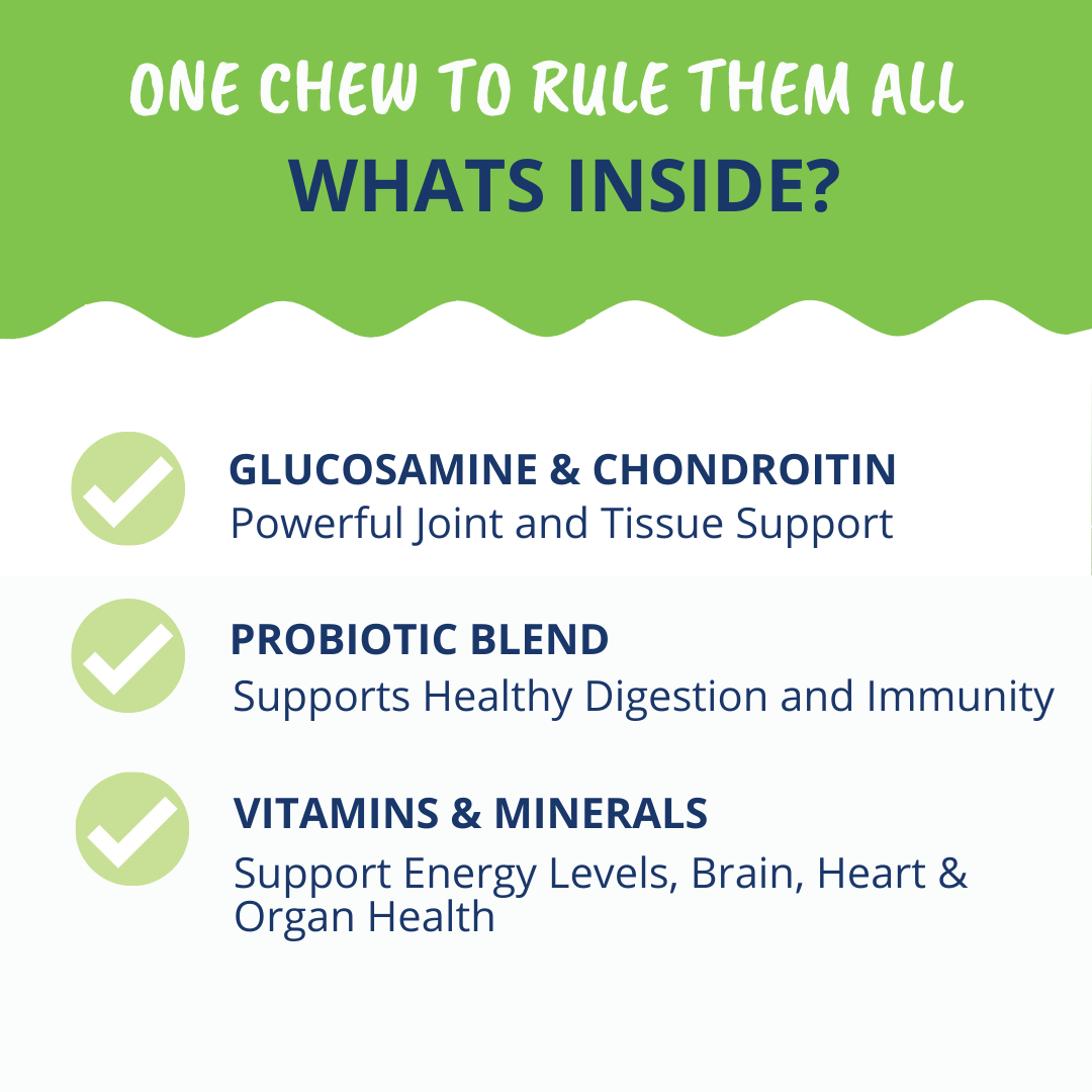 10-in-1 Multivitamin Chews for Dogs