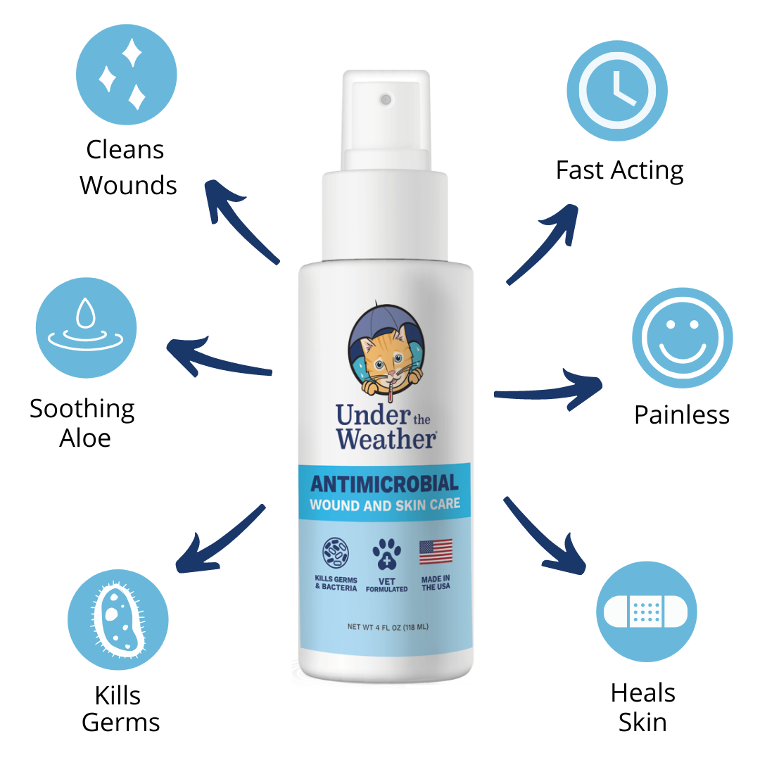 Antimicrobial Wound Spray For Cats