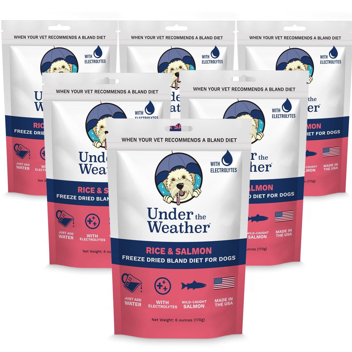 Salmon & Rice Bland Diet For Dogs - 6 pack