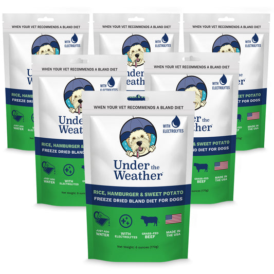 Hamburger, Rice, & Sweet Potato Bland Diet For Dogs - 6 pack