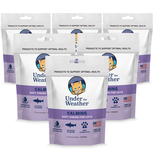 Calming Soft Chews For Cats - 6 Pack