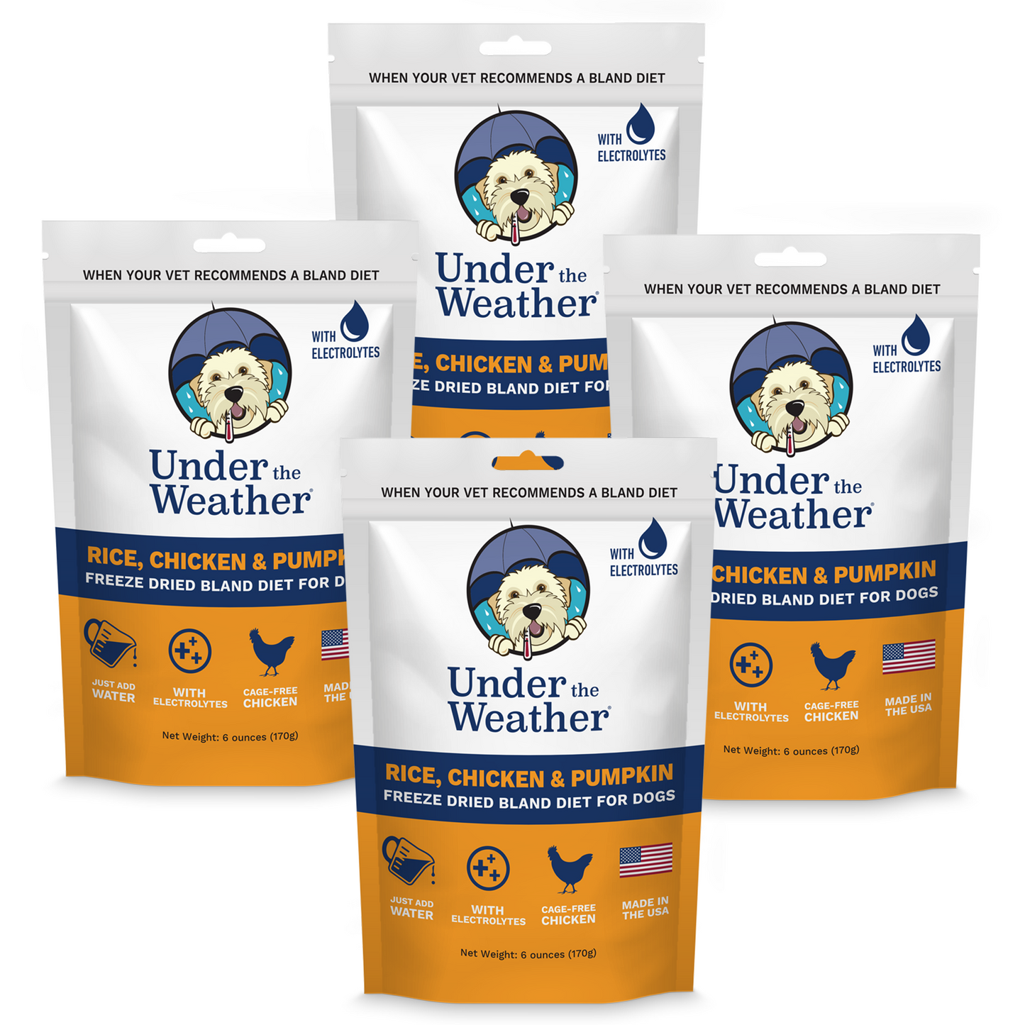 Pumpkin Patch Pack - Bland Diet For Dogs