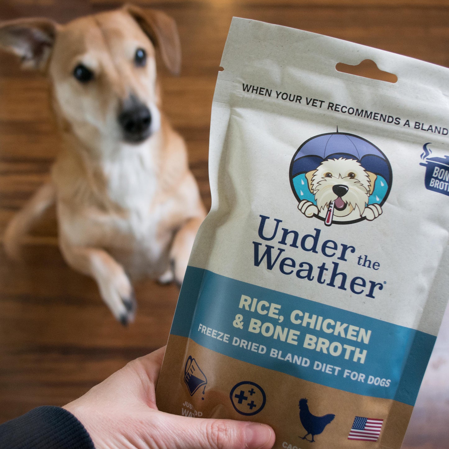 Chicken, Rice, & Bone Broth Bland Diet For Dogs