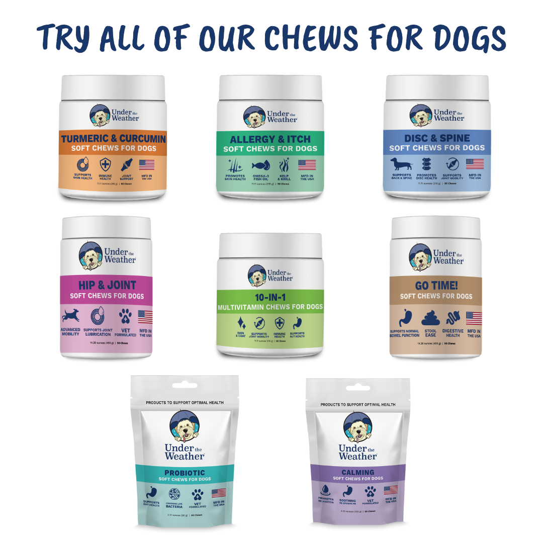 Allergy and Itch Chews for Dogs