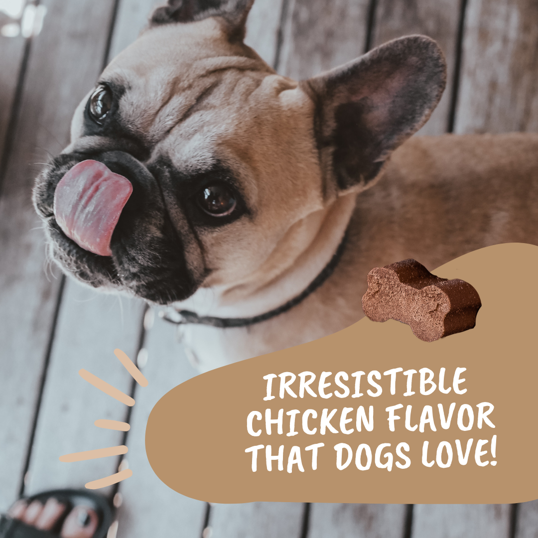 Go Time Laxative Chews For Dogs