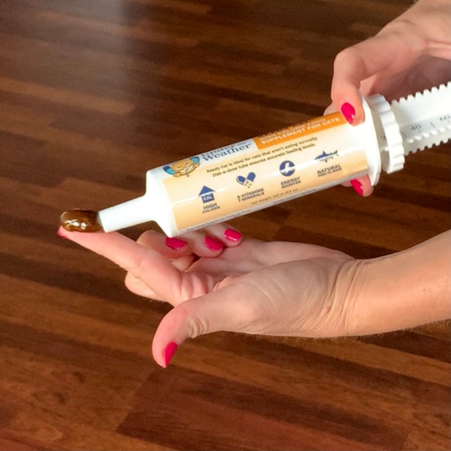 Ready Cal + Ready Balance Gel Supplement Bundle For Cats