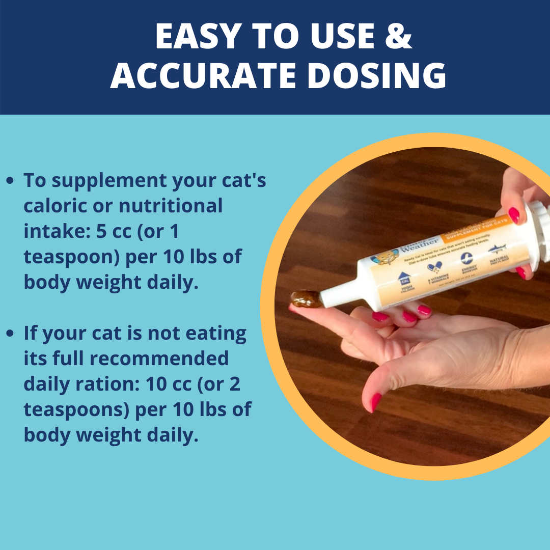 Ready Cal® High-Calorie Supplement For Cats - 100cc