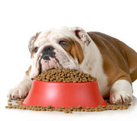 DANGEROUS DOG FOOD INGREDIENTS