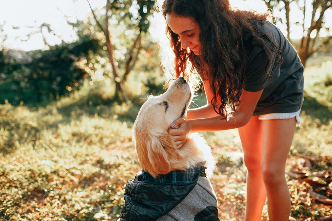 A woman gently petting a calm golden retriever outdoors in soft natural light