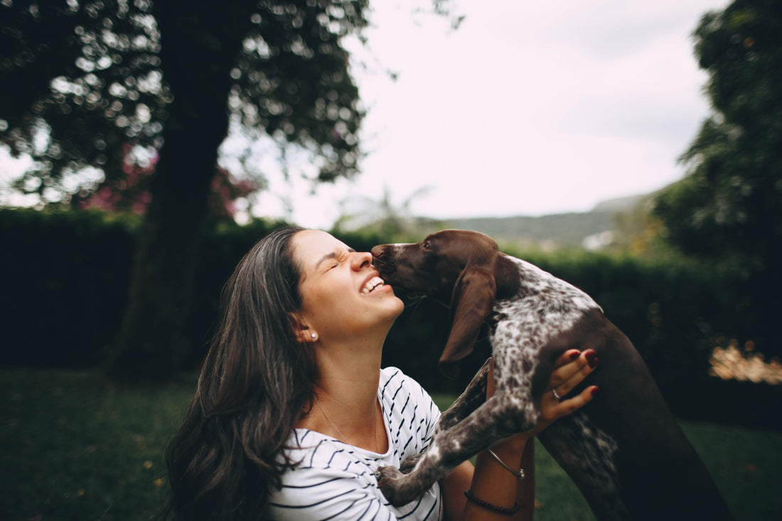 How Pets Show They Love You