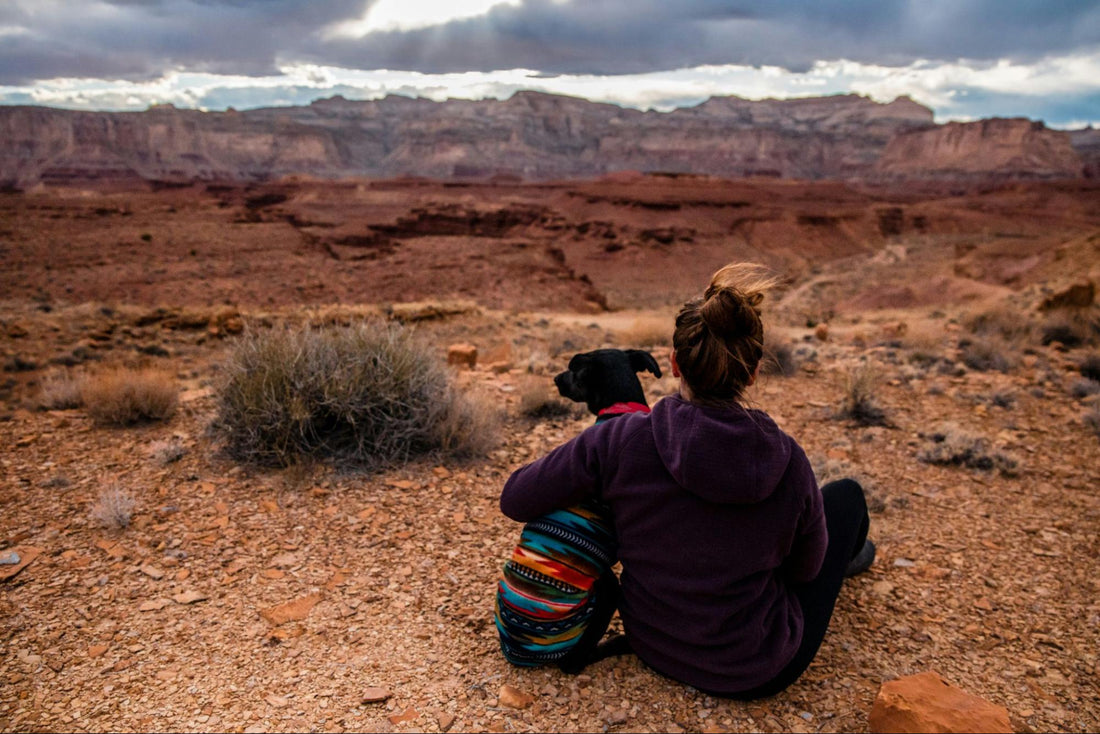 A woman with her arm around a dog wearing a colorful sweater sits looking at the Grand Canyon