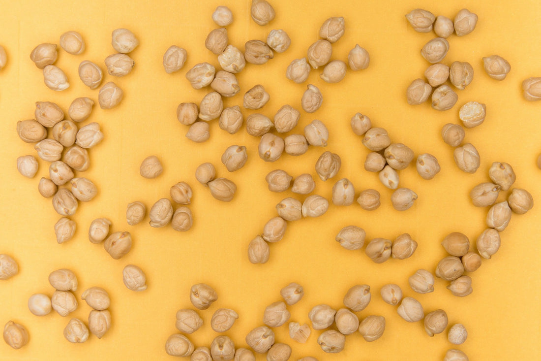 Chickpea Caution: Can Dogs Eat Garbanzo Beans Safely?