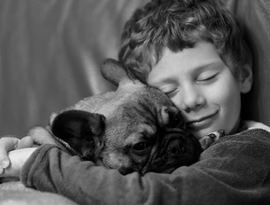 BEST DOG BREEDS FOR FAMILIES WITH CHILDREN
