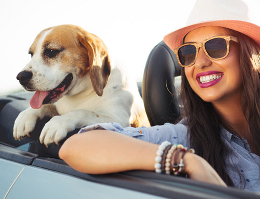 CELEBRATE NATIONAL DOG DAY WITH A DOG-FRIENDLY DAY TRIP