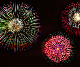 DOG LOSS PREVENTION ON JULY 4TH
