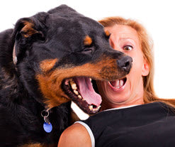 DOGGIE BREATH IS NOT A JOKE
