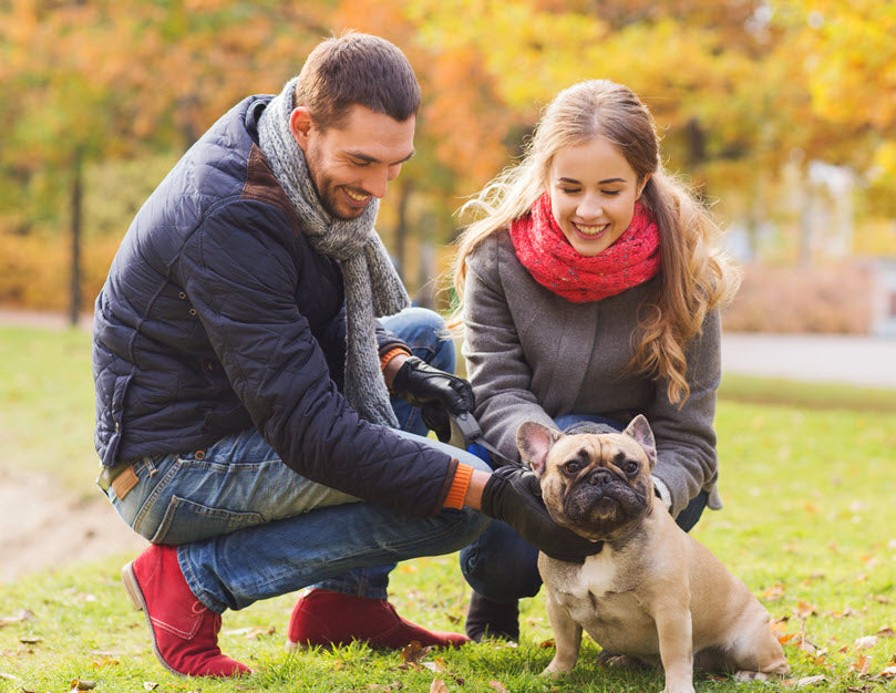 FIDO'S BOOST TO YOUR DATING LIFE