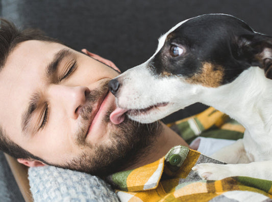 IS YOUR DOG LICKING OR KISSING?