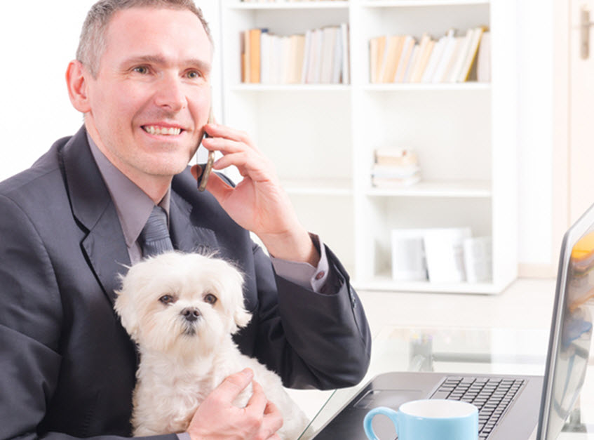 JUNE 22 - TAKE FIDO TO WORK DAY!