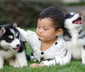 MARCH 23 - CELEBRATE NATIONAL PUPPY DAY