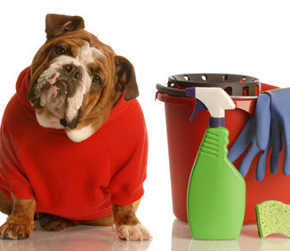 PET-SAFE CLEANING PRODUCTS