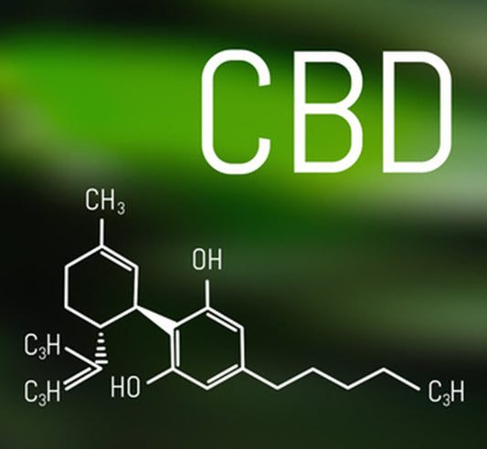 UNLEASHING THE POWER OF CBD FOR DOGS