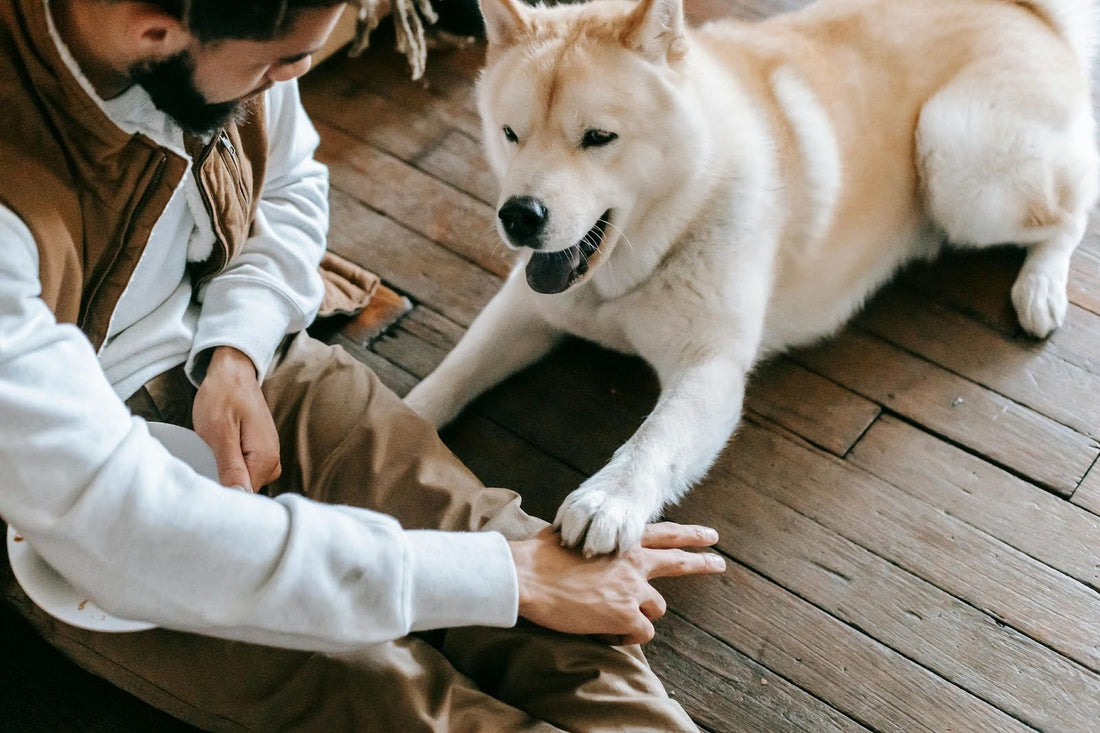 Man Training His Dog While Sitting on the Floor