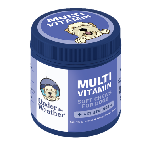 Multivitamin Daily Support for Dogs