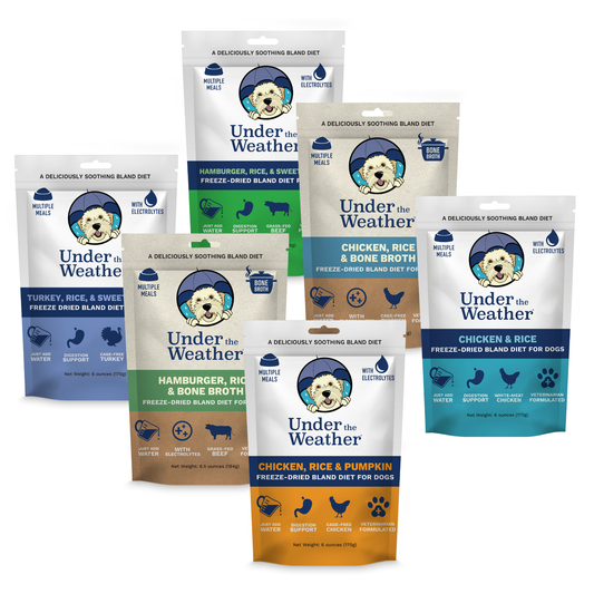 6 Flavor Bland Diet Pack