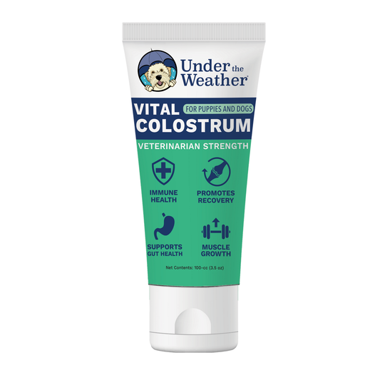 Vital Colostrum Squeezable Gel for Dogs