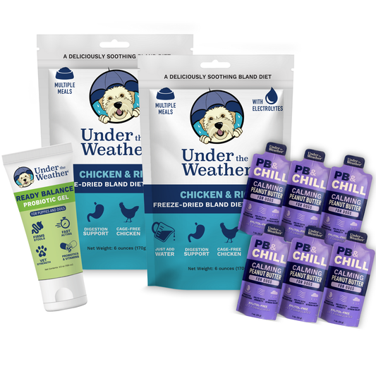 Travel Bundle For Dogs