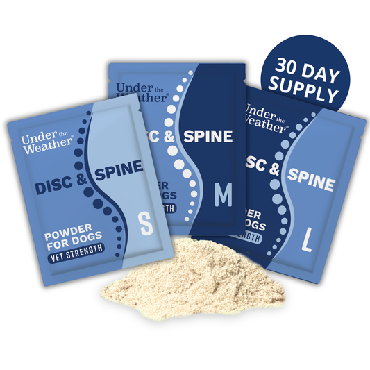 Disc & Spine Support Powder