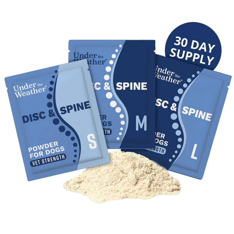 The Disc & Spine Support Powder