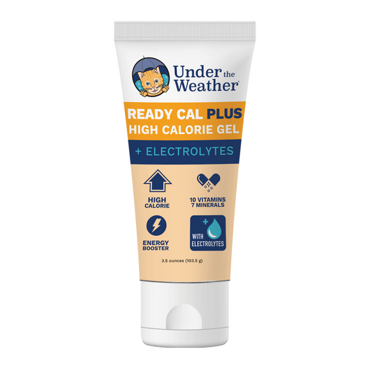 Ready Cal™ PLUS Electrolytes for Cats
