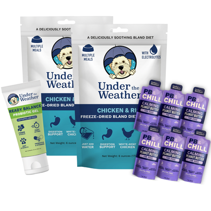 Travel Bundle For Dogs