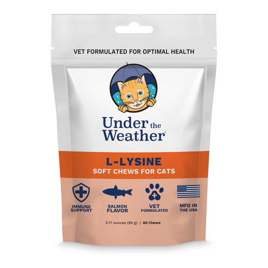 L-lysine Immune Support Chews for Cats