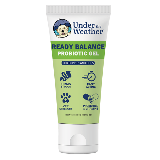 Ready Balance Probiotic Squeezable Gel For Dogs