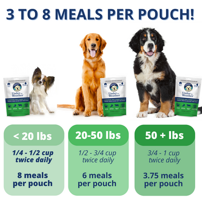 Hamburger, Rice, & Sweet Potato Bland Diet For Dogs - 6 pack