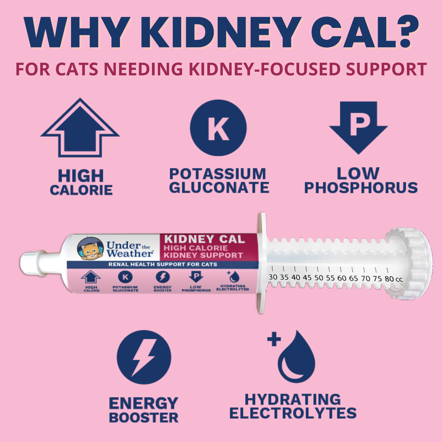 Kidney Cal High Calorie Renal Support for Cats