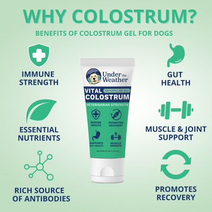 Vital Colostrum Squeezable Gel for Dogs