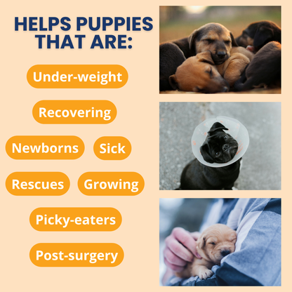 Ready Cal® High Calorie Powder for Puppies