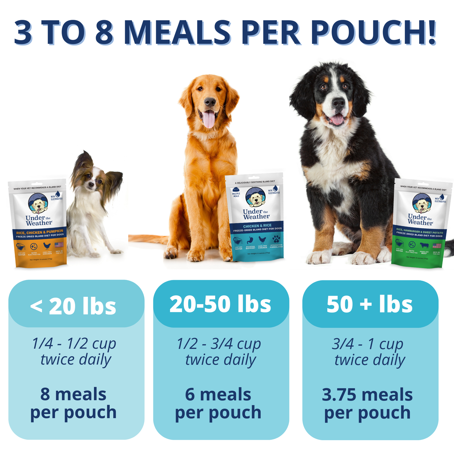 6 Flavor Bland Diet Pack